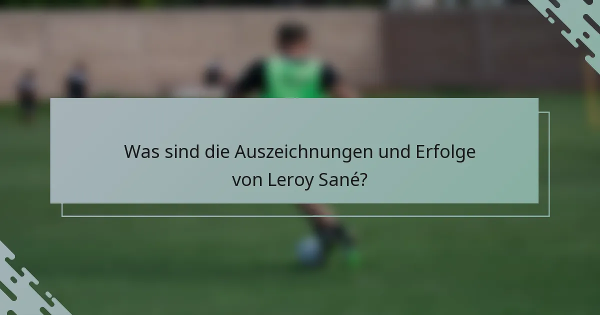 Was sind die Auszeichnungen und Erfolge von Leroy Sané?