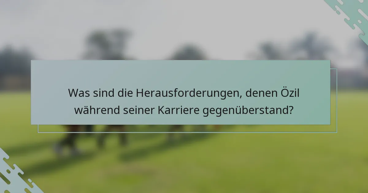 Was sind die Herausforderungen, denen Özil während seiner Karriere gegenüberstand?